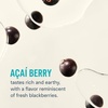 Liquid I.V.® Hydration Multiplier – Concord Grape | Electrolyte Powder Drink Mix | 1 Pack (16 Servings)(Acai Berry)