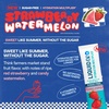 Liquid I.V.® Hydration Multiplier Sugar-Free – Raspberry Melon | Electrolyte Powder Drink Mix | 1 Pack (14 Servings)(Strawberry Watermelon)
