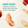 Liquid I.V.® Hydration Multiplier Sugar-Free – Raspberry Melon | Electrolyte Powder Drink Mix | 1 Pack (14 Servings)(White Peach)